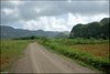 075 Vinales