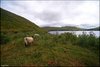 0333-Irland August-2018